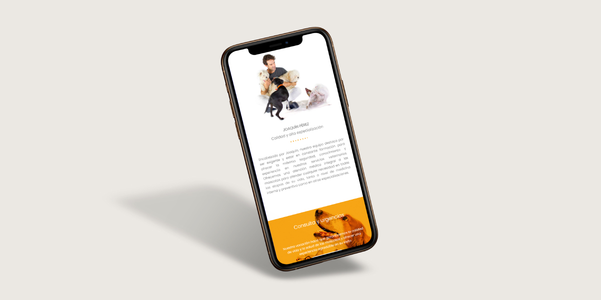 Diseño web clínica veterinaria