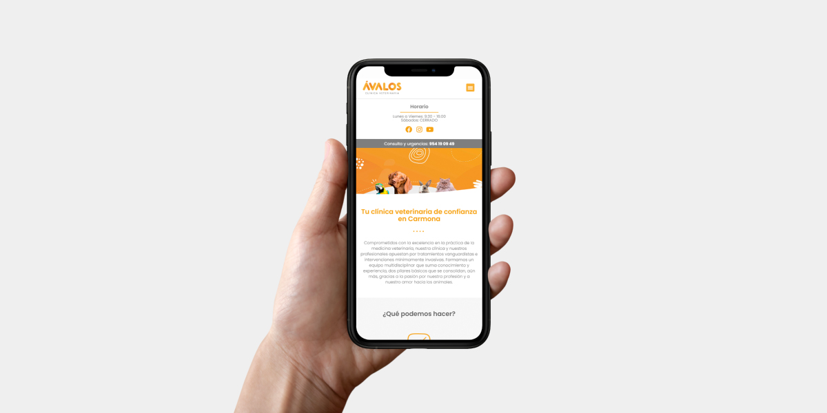 Diseño web clínica veterinaria